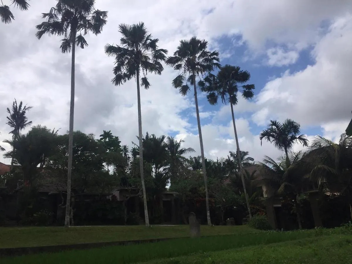 Umae Villa Private Pool ウブド インドネシア